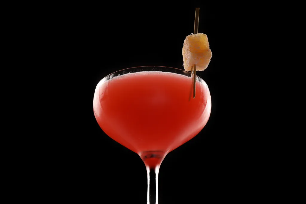 Mosquito